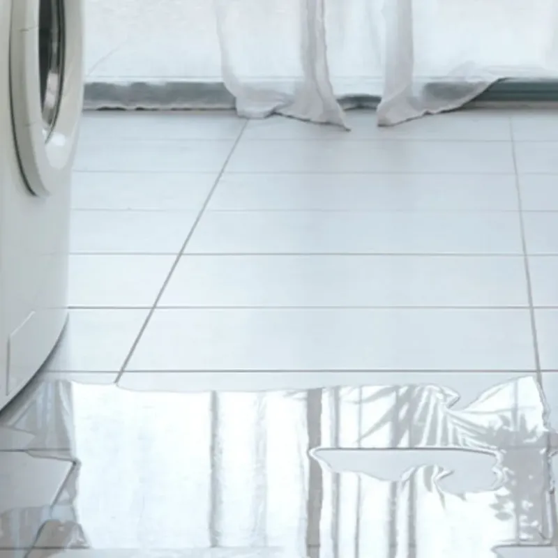 Appliance Leak Cleanup in Grass Valley, CA