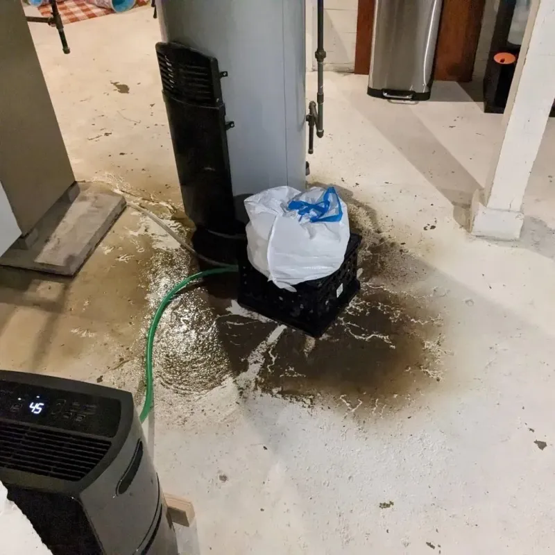 Sewage Backup Cleanup Service in Grass Valley, CA